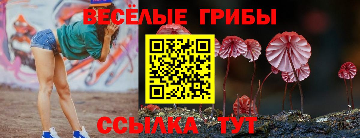 Галлюциногенные грибы ЛСД Киров